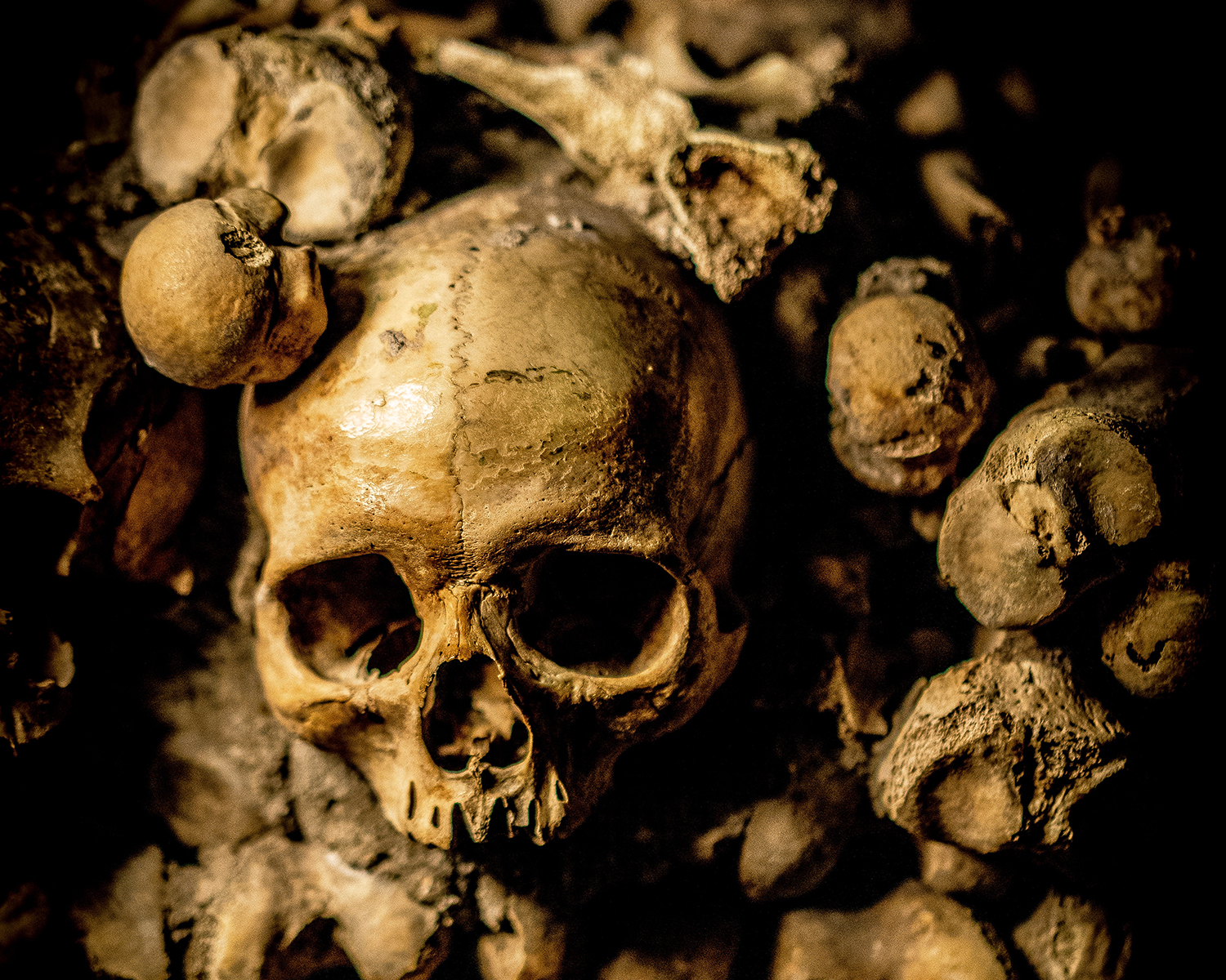 Catacombs of Paris